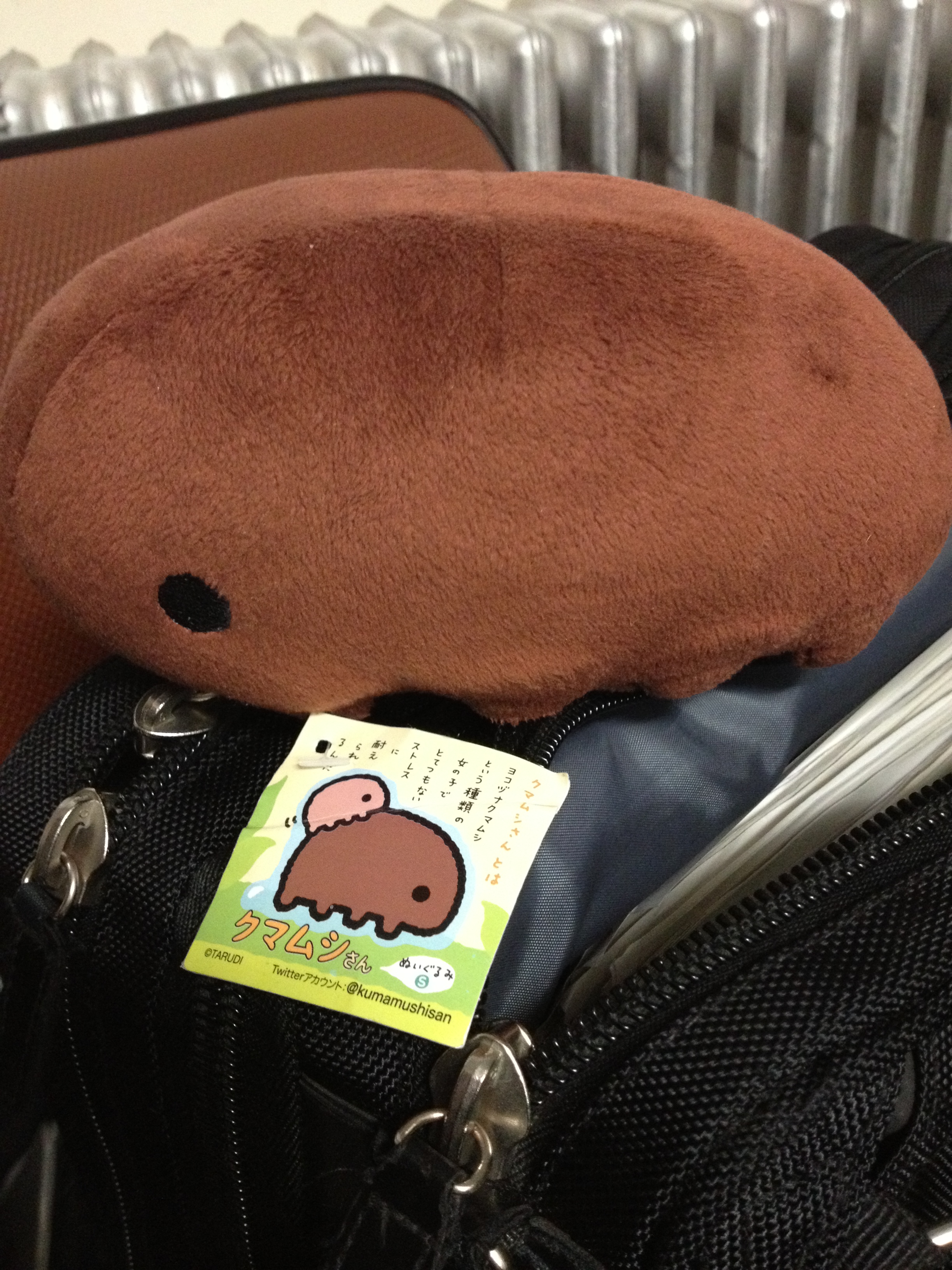 クマムシさん