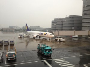 skymark