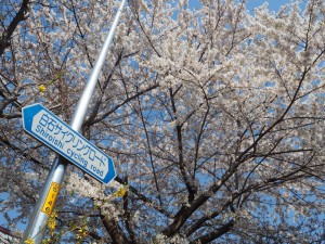 白石サイクリングロード